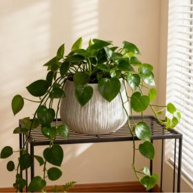 11Dia X 9.06 H Large Round Planters For Indoor Plants, Outdoor Planters With Drainage Holes, Magnesium Oxide Plant Pot With Cement Texture Plant Pots