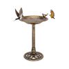 Outdoor Garden Freestanding Pedestal Bird Bath Feeder